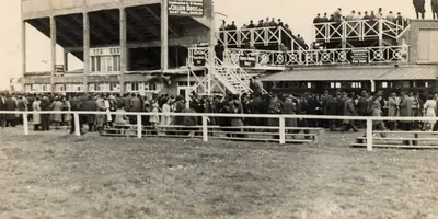 Stand and Tote, Fairyhouse Racecourse
